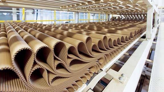 Rolls of cardboard in a factory