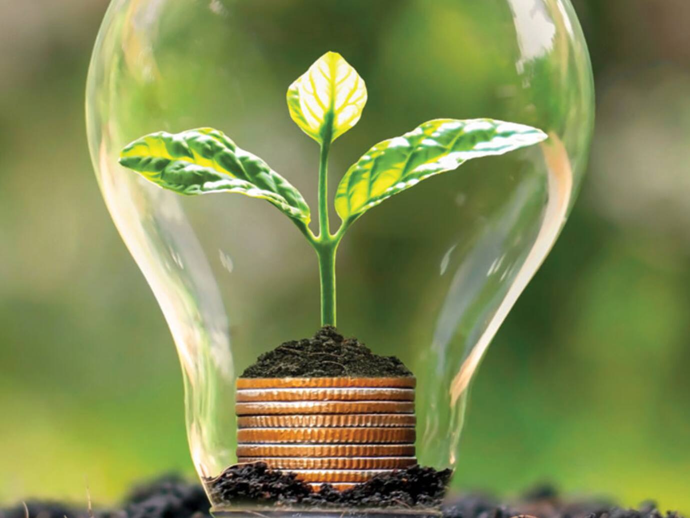 A sapling blooming on top of a stack of coins inside the shell of a glass bulb