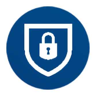 Icon of a lock on a shield depicting security