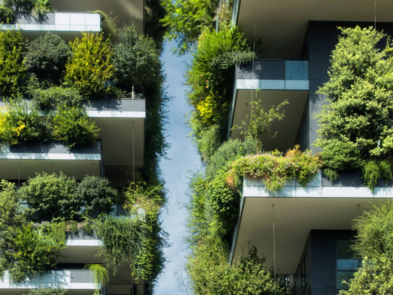 Balconies with green plants in a modern building
